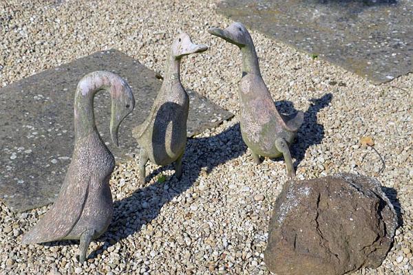 Primrose Gardens 9.jpg